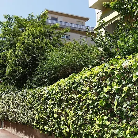 Bougainvillier דירה